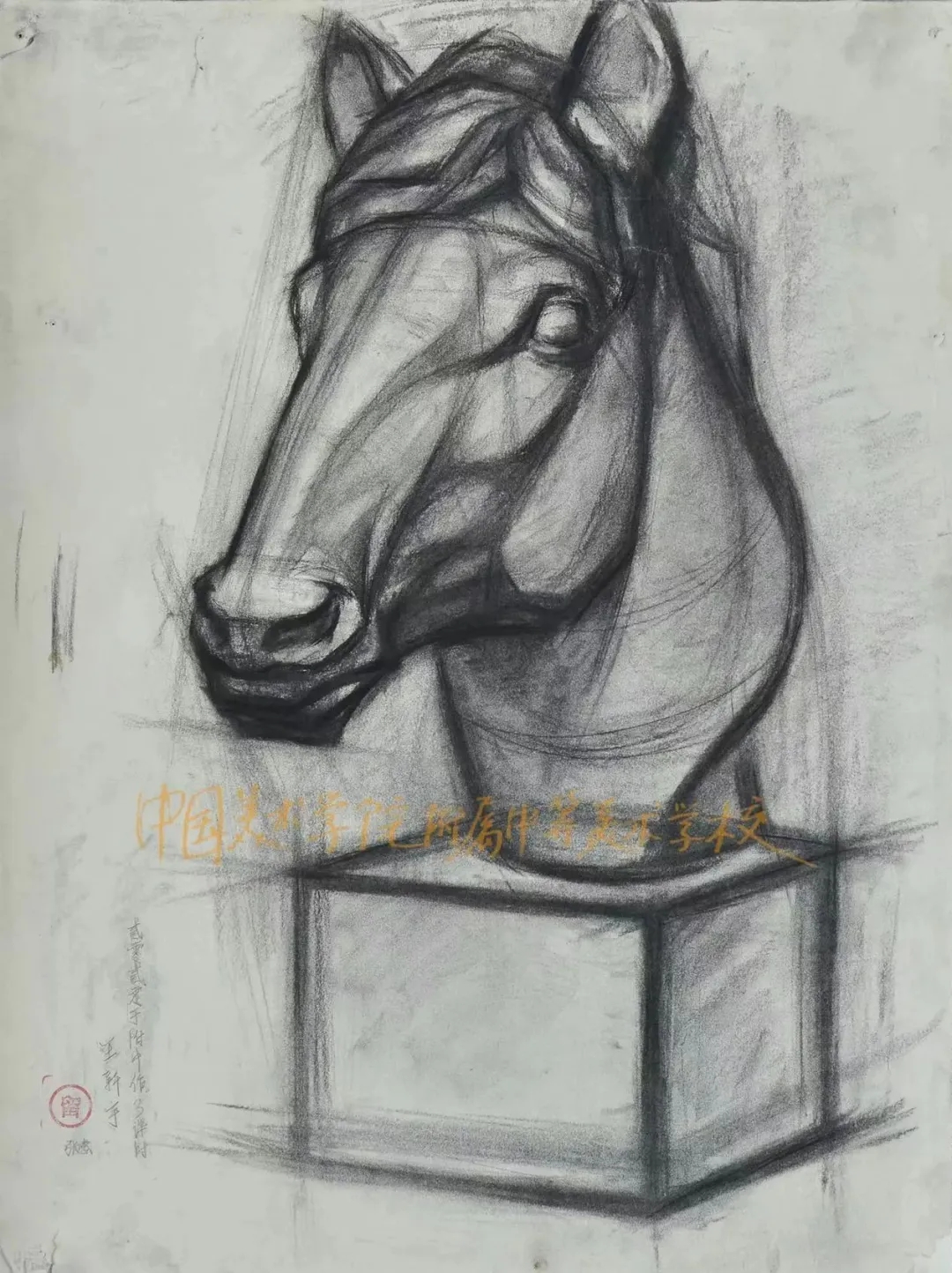 一树一世界|中国美术学院附中2024届毕业生优秀作品选 · 素描篇