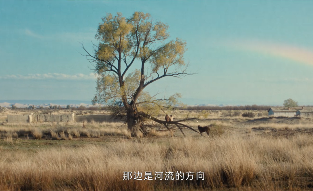 作家李娟:别再劝我结婚了