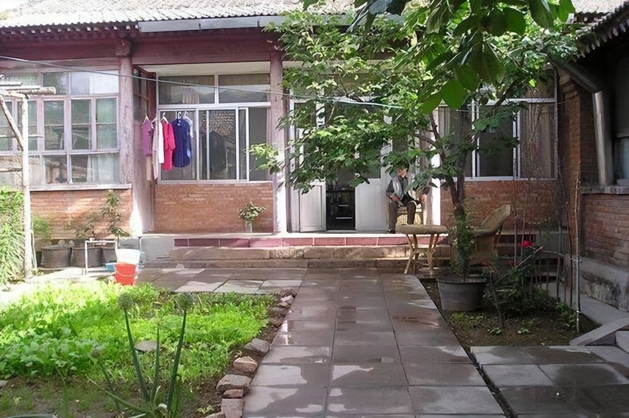 家有小院,一定要种棵树,适合种在院子里的5种树,选一棵种上吧