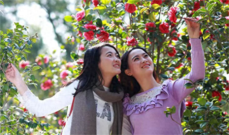 父亲与初恋私奔,我跟着继母生活15年,我给继母买房后,父亲来了