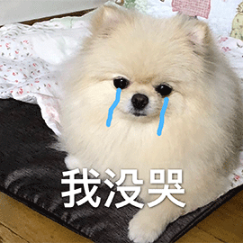 这些行为,在狗眼里就是"抛弃",劝你别做