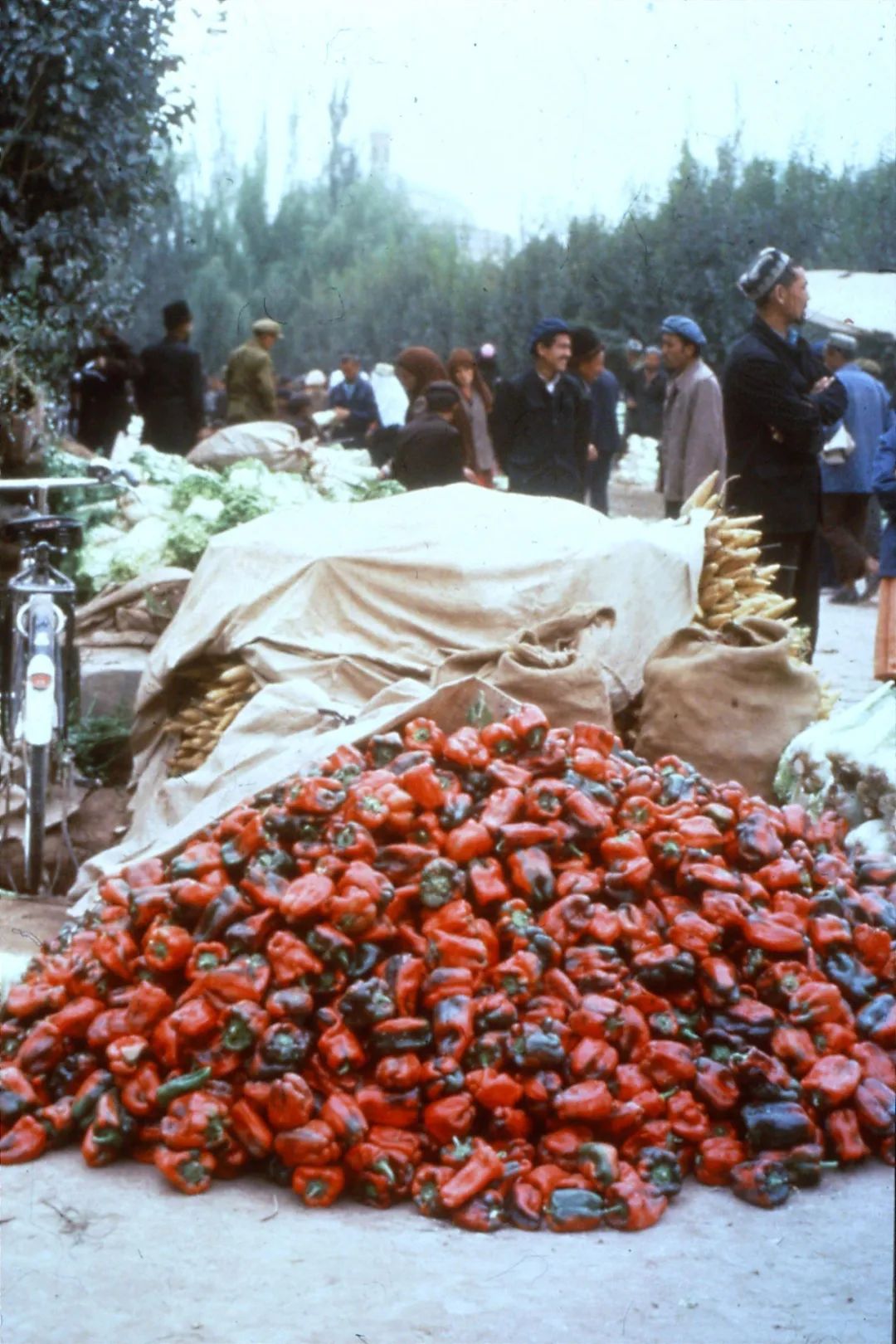 1982年 老照片图片