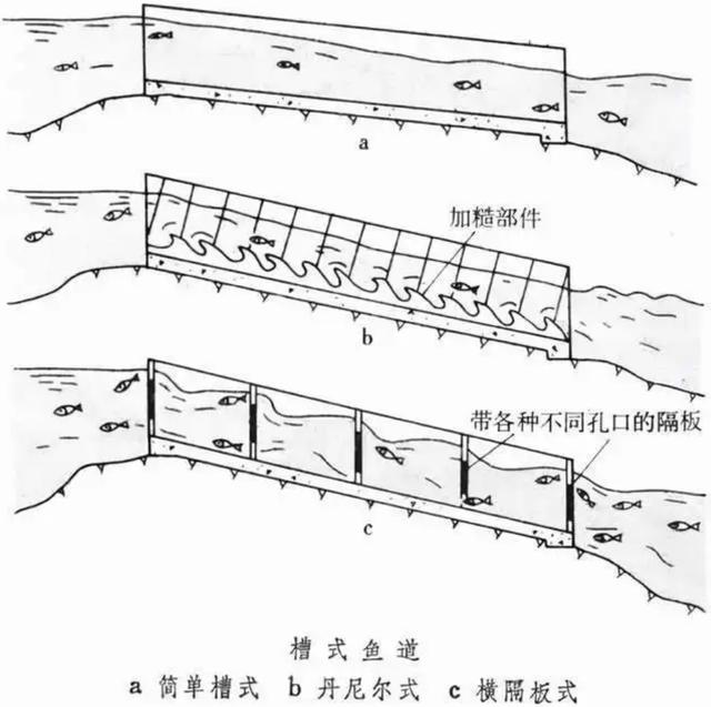 回顾:人类发明并修建了鱼梯,鱼梯是个什么东西呢?真是长见识了
