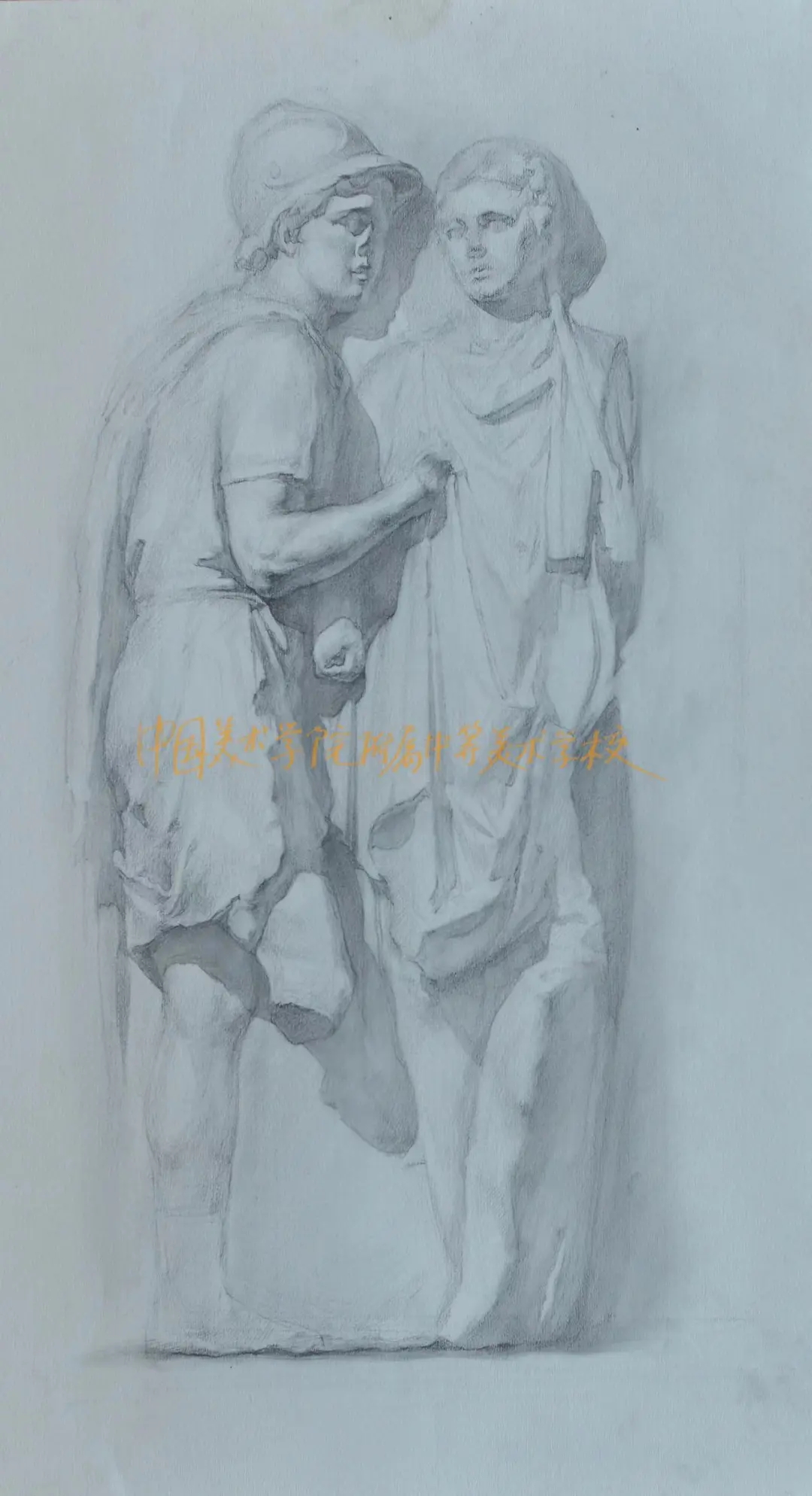 一树一世界|中国美术学院附中2024届毕业生优秀作品选 · 素描篇