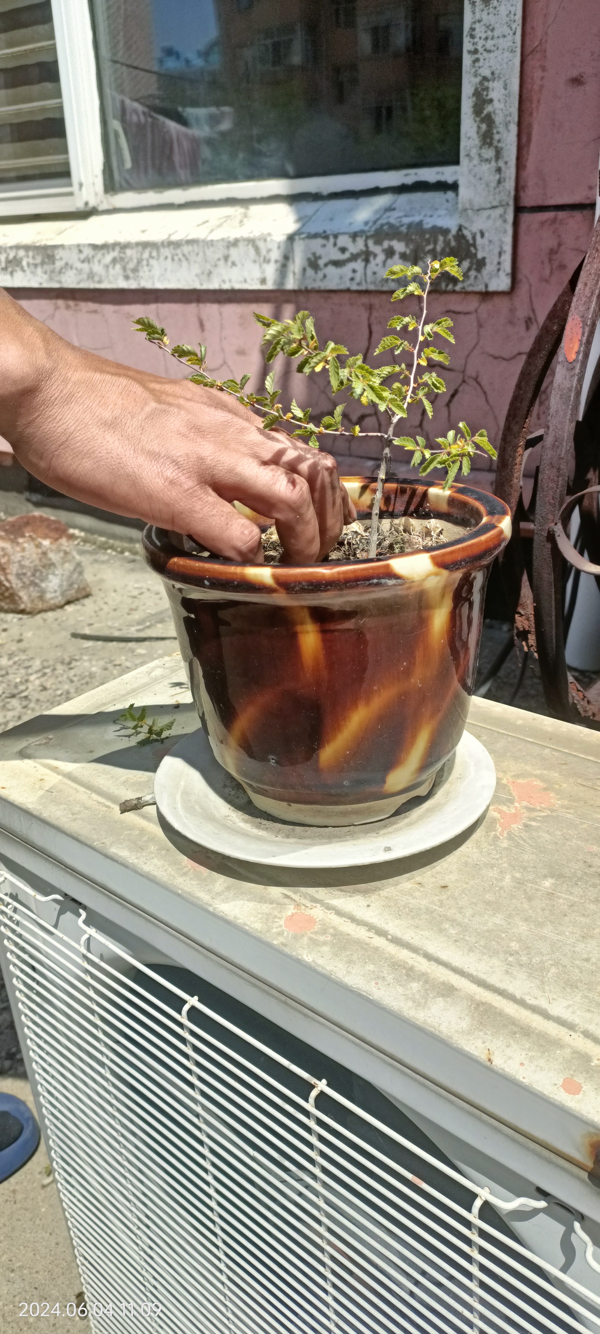 人就应该像这野花杂草一样, 不管环境如何恶劣,不