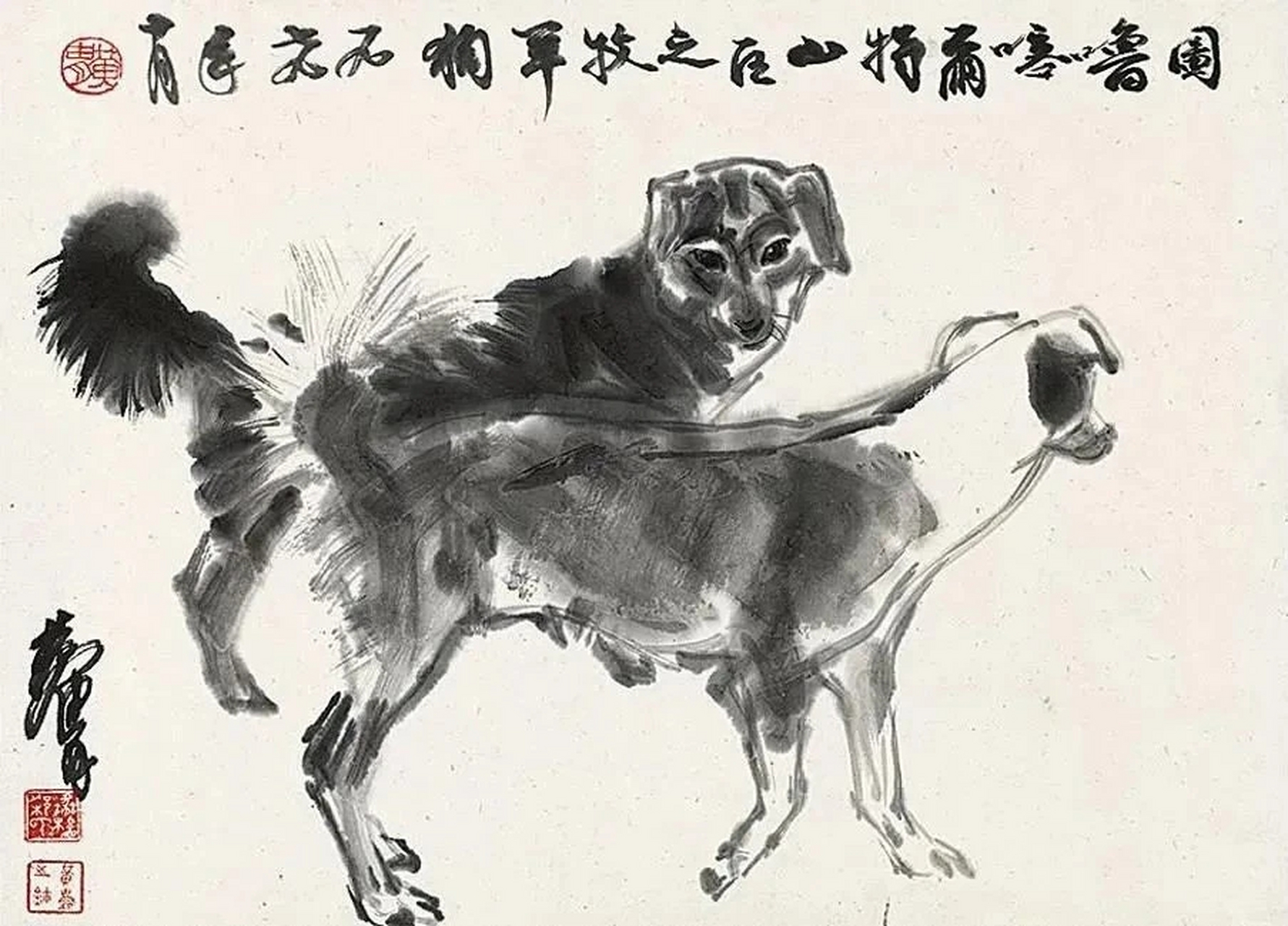 黄胄画动物合集,不止是画驴,黄老画鸡,画猫,画狗,画牛同样是一绝!