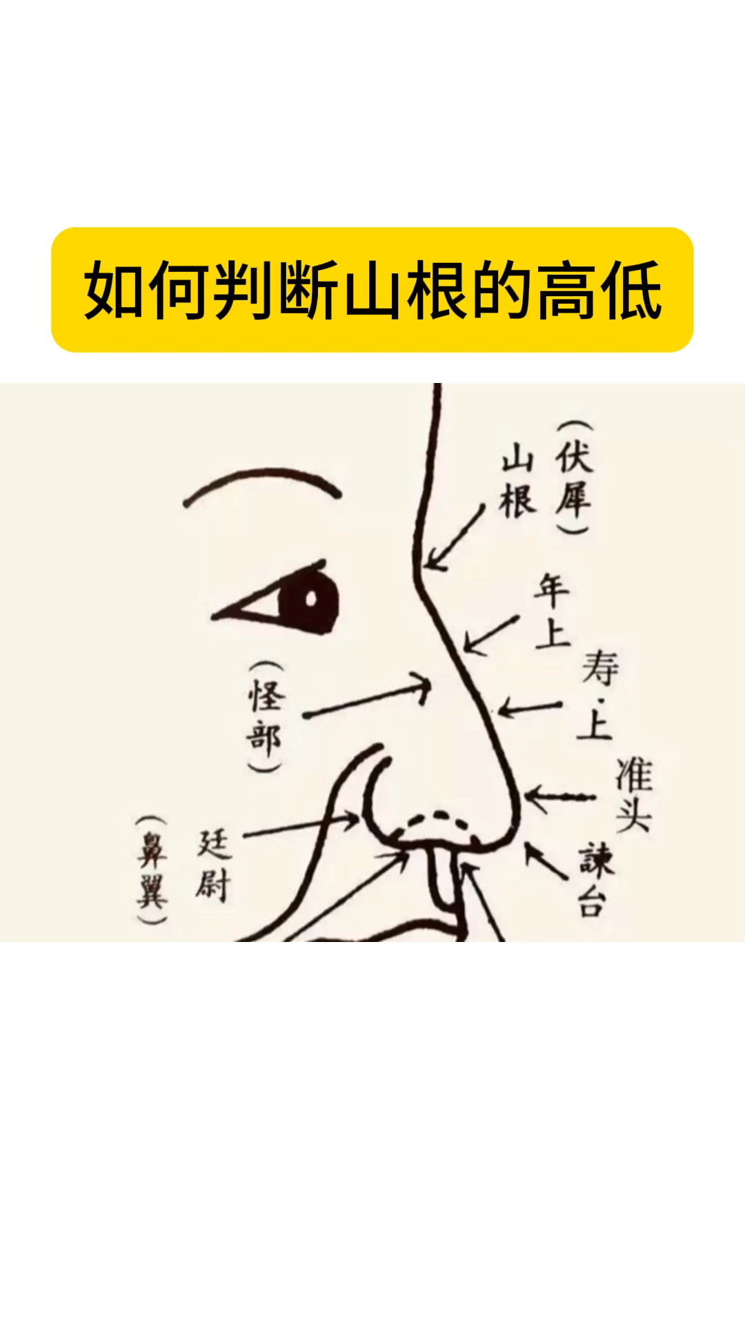 面相识人术:如何判断自己山根的高低