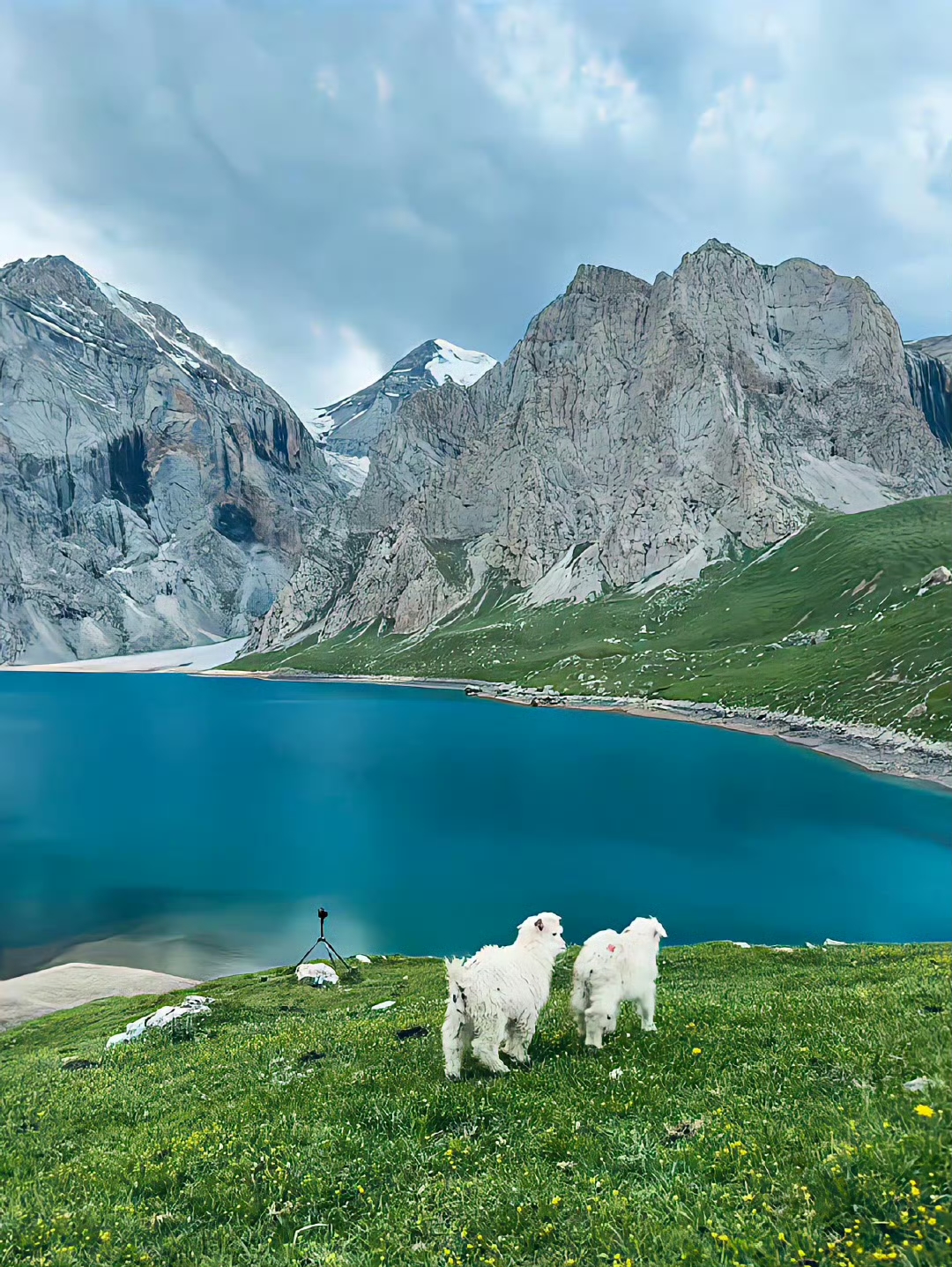 潇洒风景