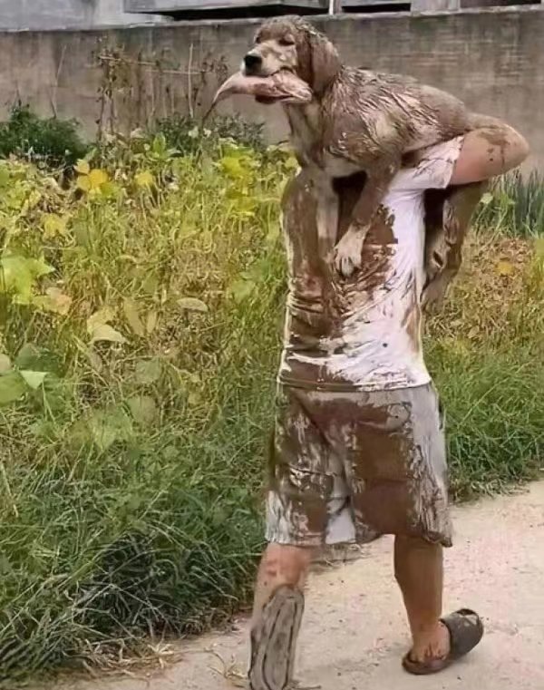 大哥家狗在泥潭里抓鱼,让它上来偏不,非得抓到鱼才肯罢休.