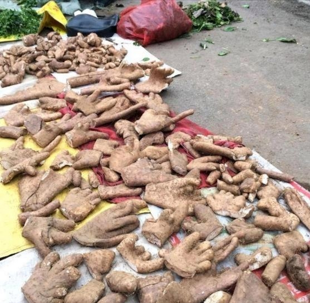 第一次见到这种山药,老板说这是野山药,长的好像手掌,有没有认识的,这