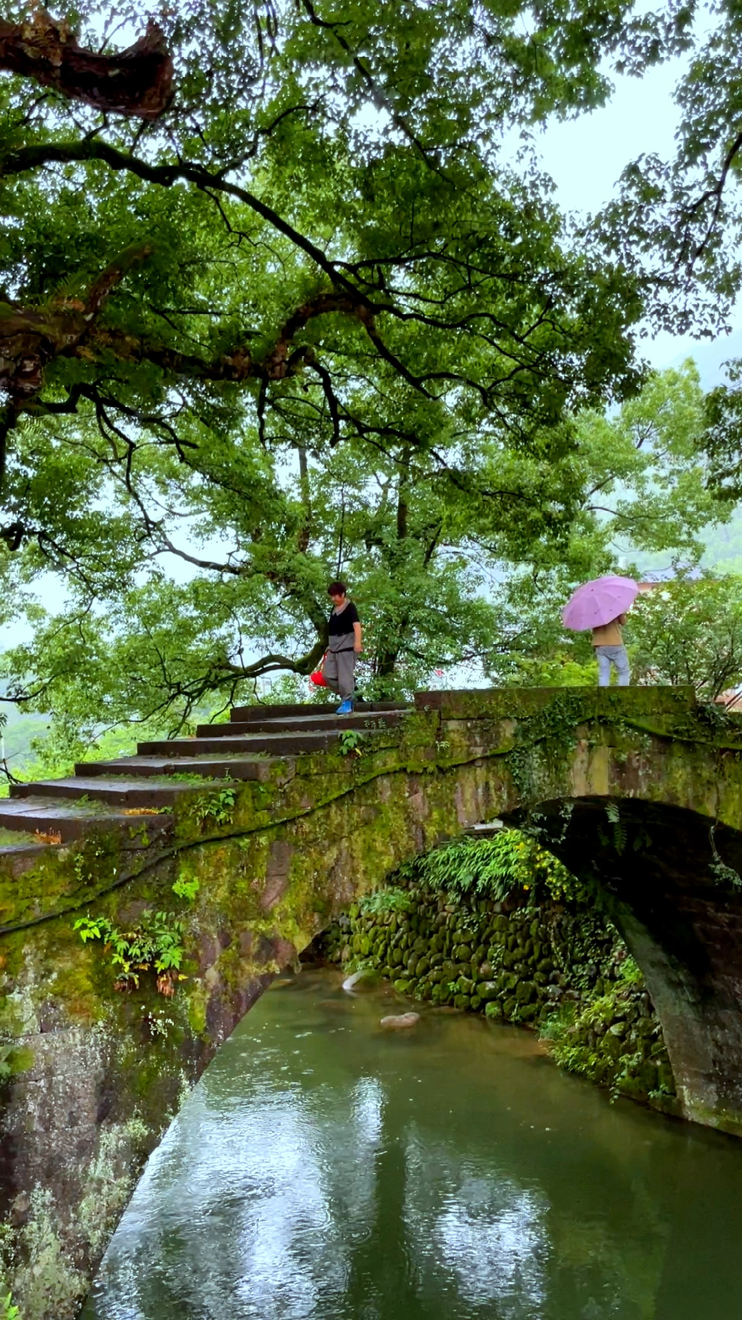 衢州七里桃花源风景区图片