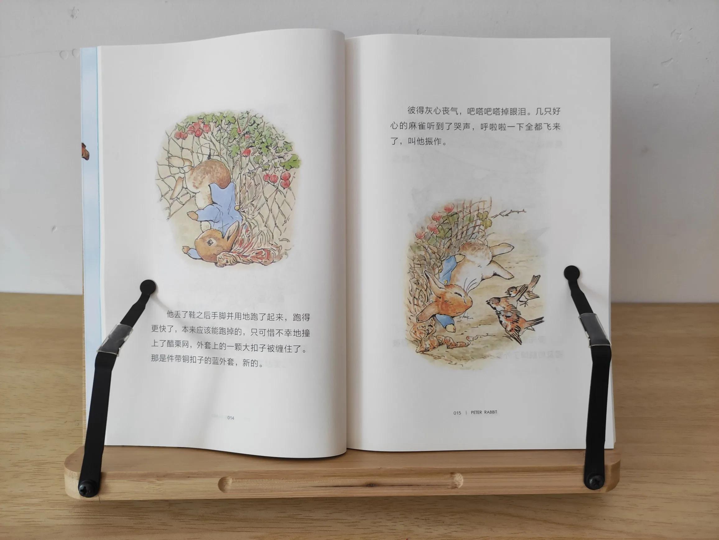 给一年级孩子选书时,是否有必要全部买带拼音的童书给她看?