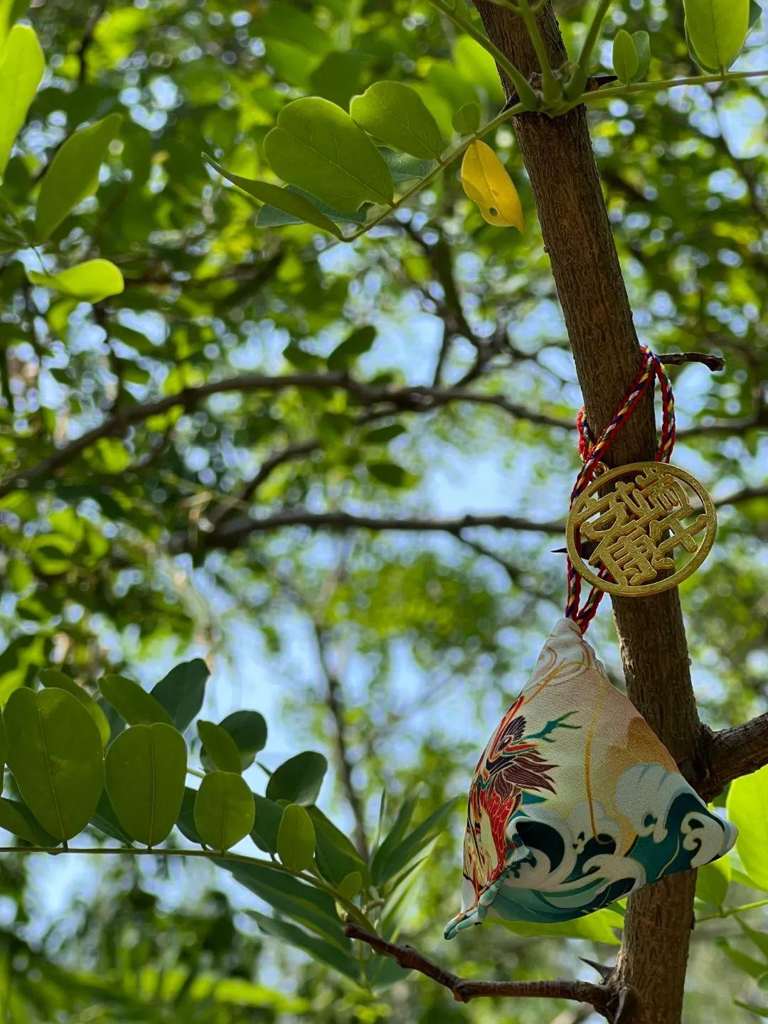 「银川文旅集团·讯」丨端午浓情,"粽"享乐趣