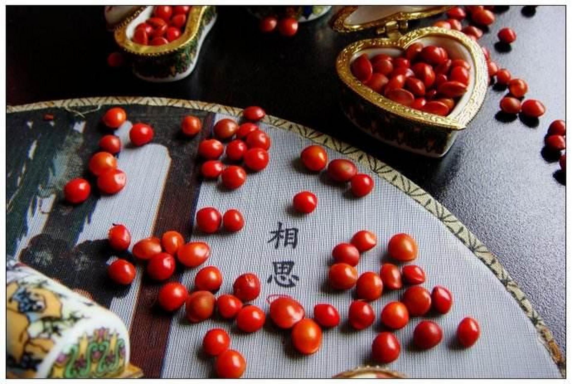 红豆和绿豆,同样都是豆子,为啥红豆就是相思豆,古往今来都是甜美爱情