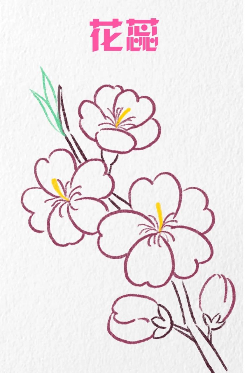 桃花简笔画|简单又哇塞 🌸桃之夭夭,灼灼其华.