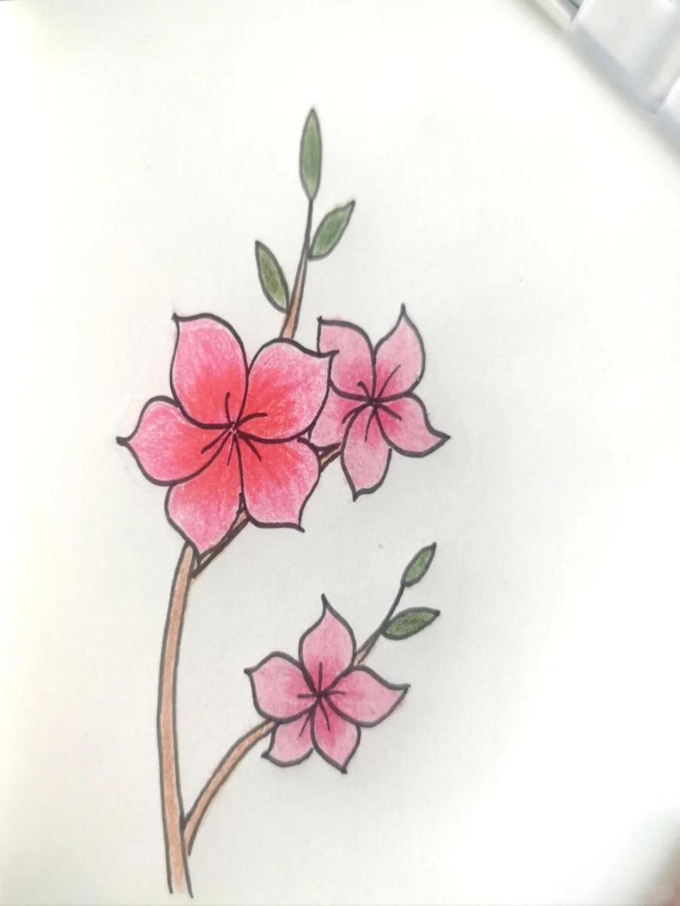 画你喜欢的小花花-桃花简笔画(步骤图) 桃之夭夭,灼灼其华[种草r]