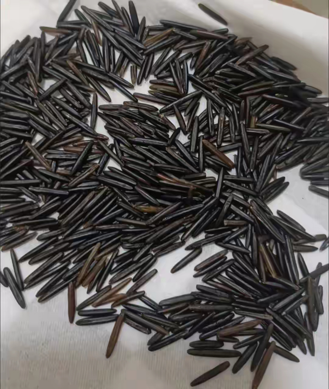 有人买了这种黑色的大米, 说是80元一斤买的. 现在这么贵了吗?