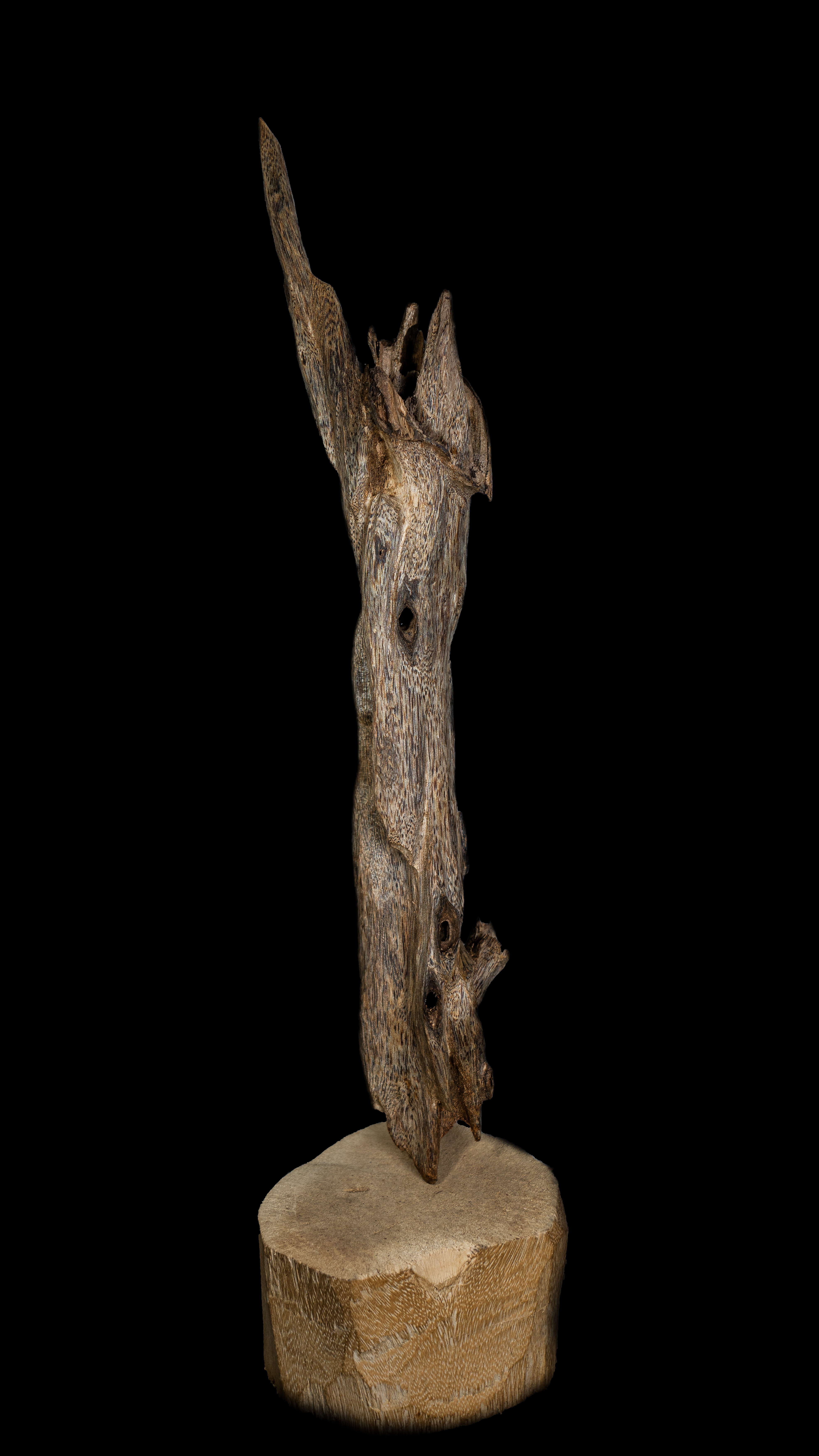 天然奇楠虫漏沉香