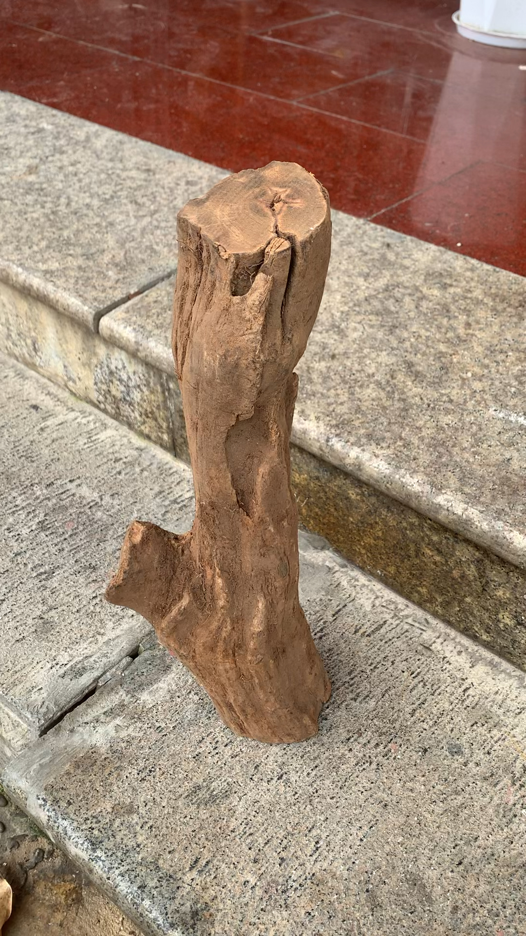 巴布亚贡木沉香造型摆件料子,能加工的太多了,天然水沉土埋料