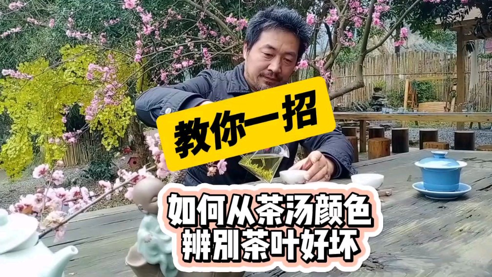 你不知道的茶叶知识,教你一招,如何从茶汤颜色来辨别茶叶的好坏