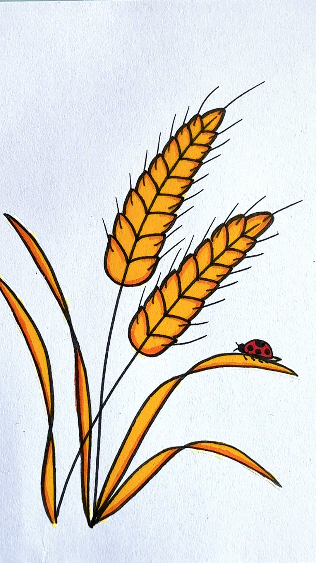 小麦简笔画 #一起学画画 #简笔画-度小视
