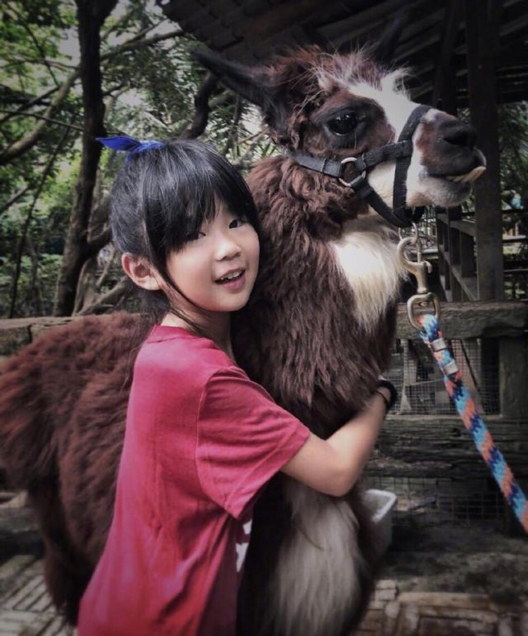 曹格女儿曹华恩小时候与现在