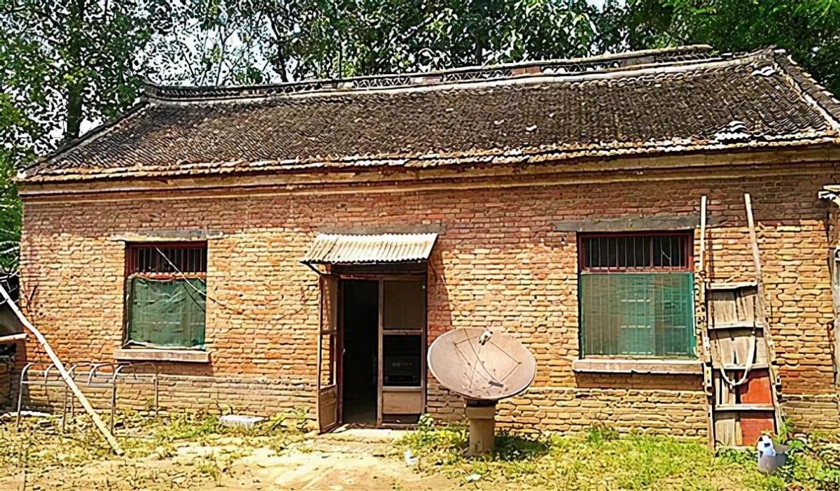 最开始,葛保田掏出了自己珍藏多年的白糖,试图用白糖水喂养小红花.