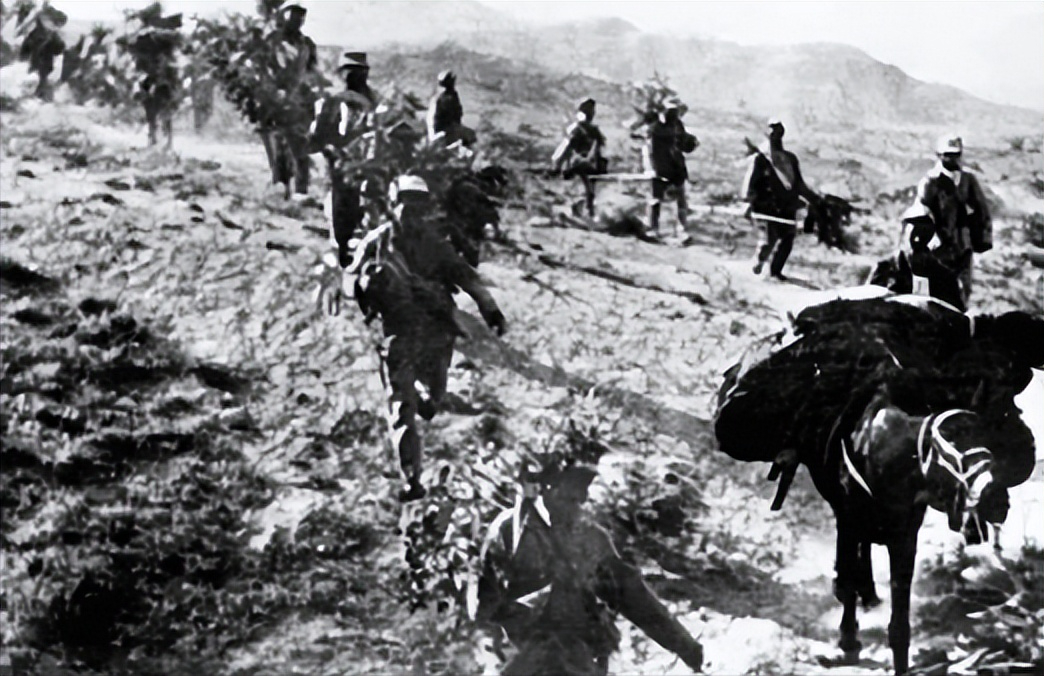 这场仗刘伯承不敢打,他却坚持打,结果以800人的牺牲灭敌10000