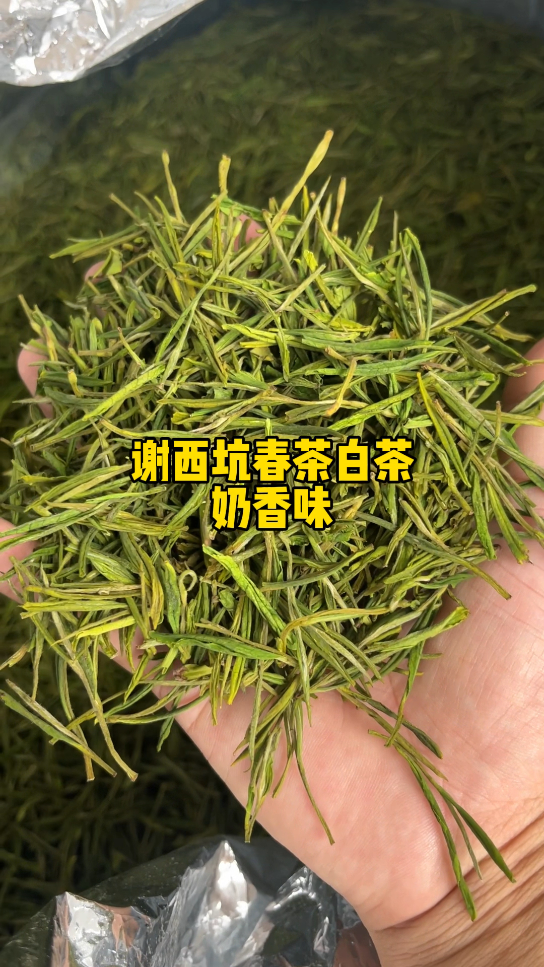 奶香型的干茶,口感鲜爽甘甜谢西坑高山白茶