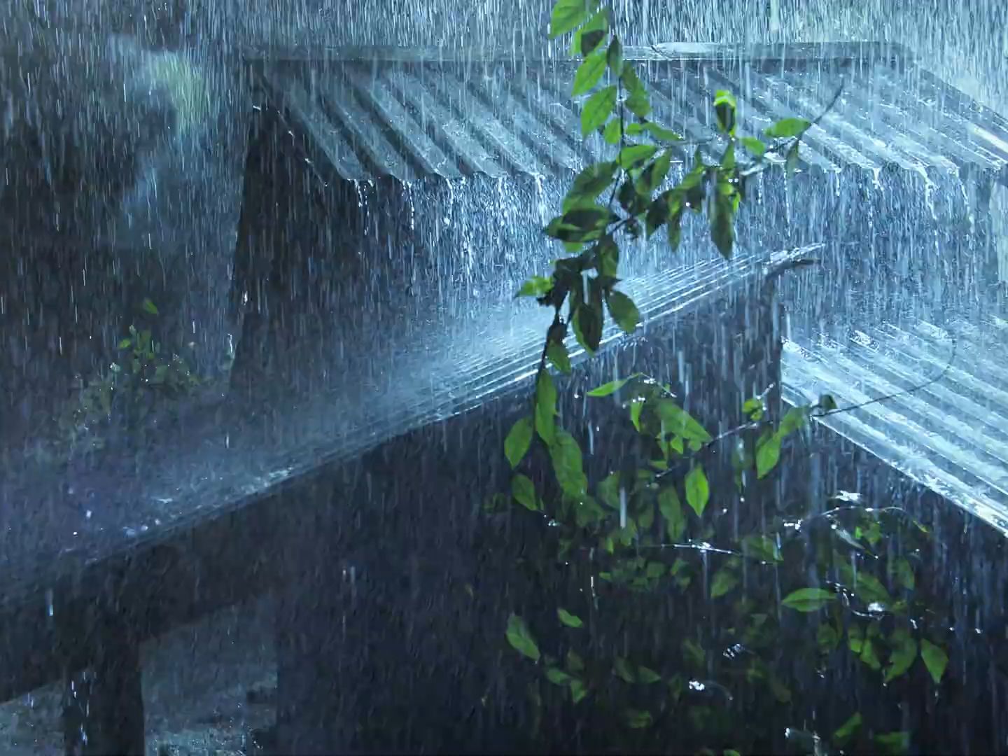 七律·风雨倾城  万窍号风震地来,奔驰霹雳吼飞埃.