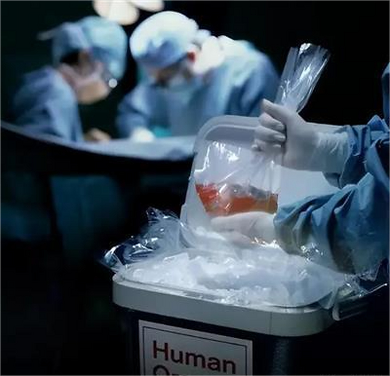 近日,乌克兰执法机构揭露了一起震惊全球的"人体器官贩卖"大案,成功