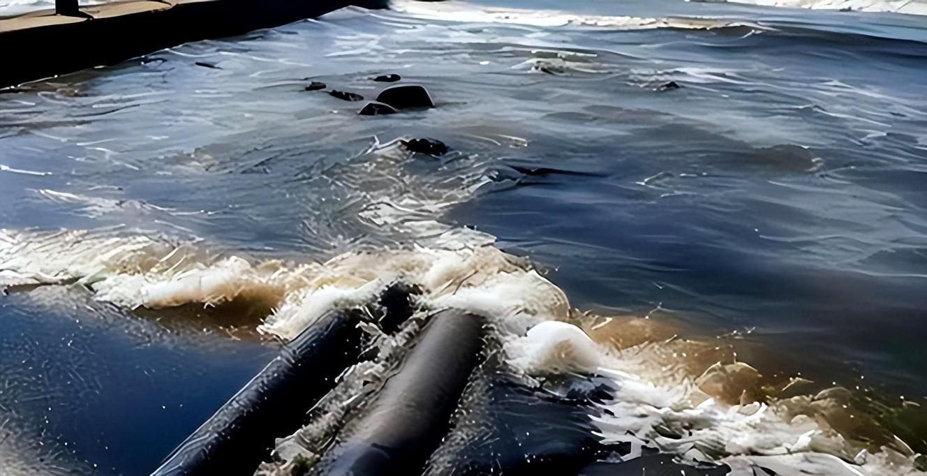 回顾:13年前他喝下处理过的核废水,如今物是人非,事实暴露真相