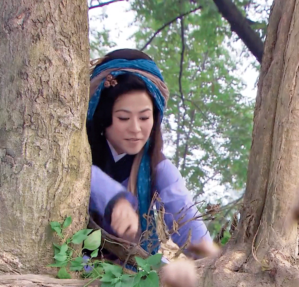 多年过去,如今又一次迎来了靠着王宝钏挖野菜的故事成为热门的局面.