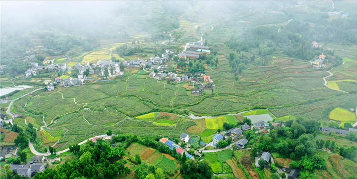 遵义新蒲:趣说喇叭镇的前世今生