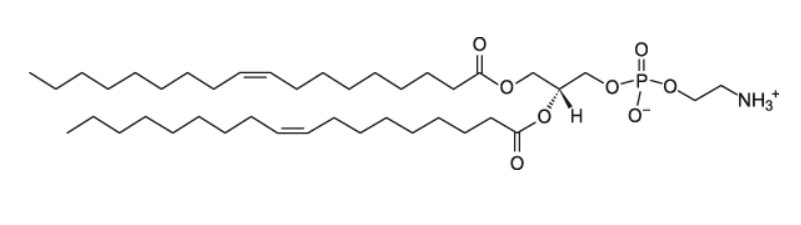 4004-05-1,dope是一种磷脂分子,具有良好的亲水性和亲油性