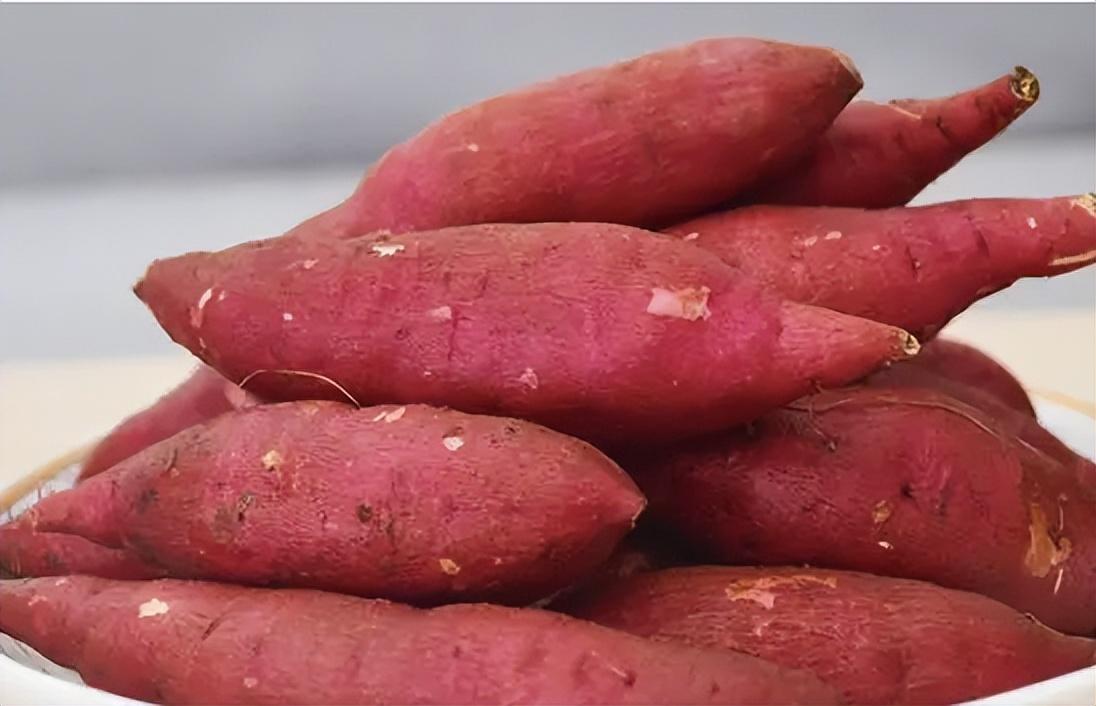 回顾土豆都成了主粮,为什么红薯就不行呢?红薯吃多真的会反酸吗?