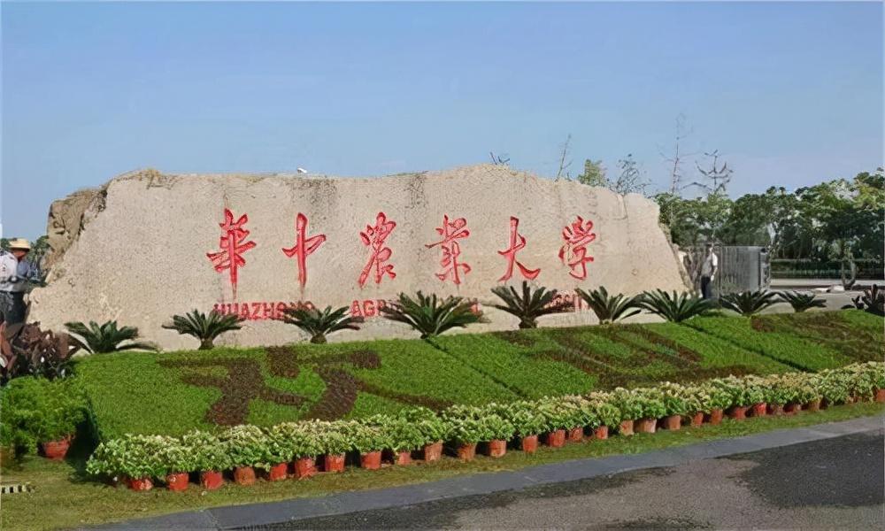 由于要照顾一大家子人,祁春兰的身体一日不如一日.