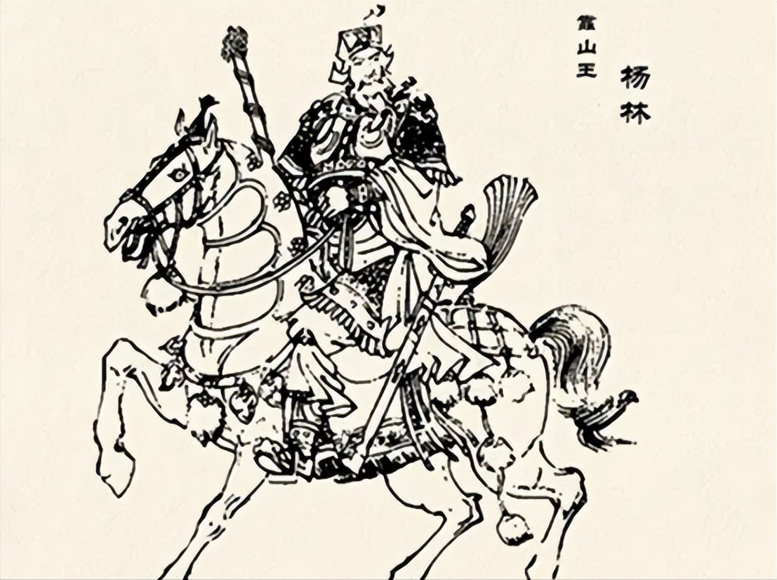 铁肩靠山王杨林