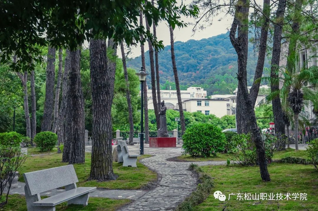 广东韶关松山学院图片