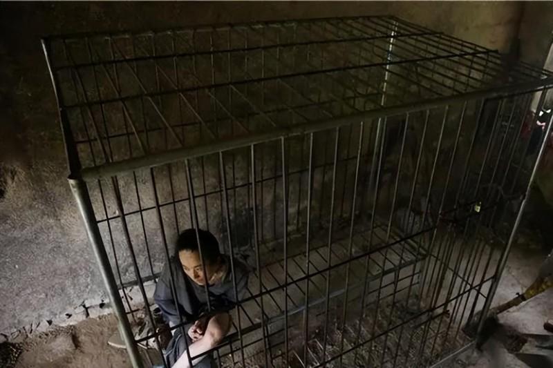 狗被关在笼子里图片