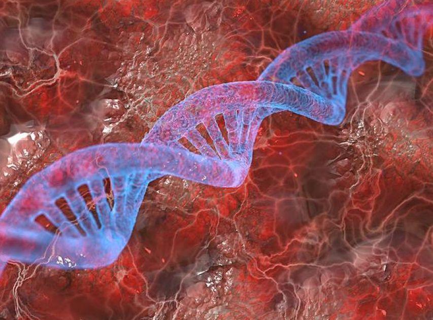 回顾:黄种人黑种人和白种人自由交配,为何人之间不