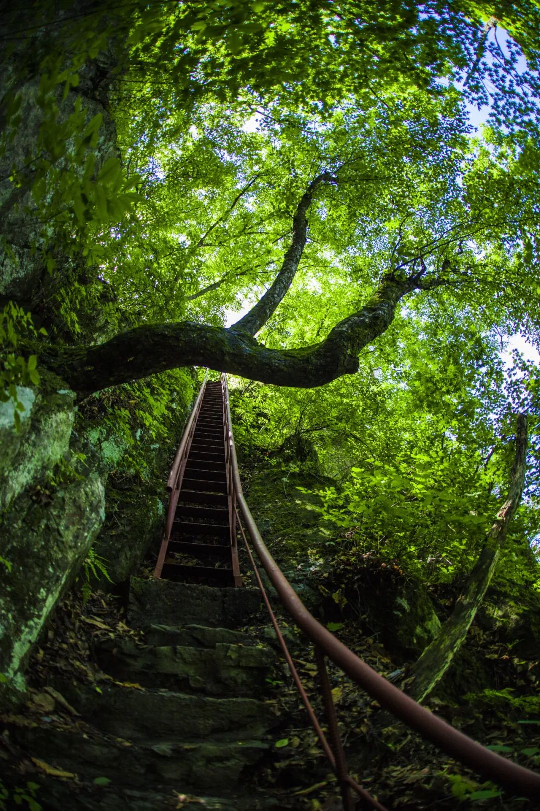 青山沟国家级风景名胜区处于长白山脉与鸭绿江水系之间,独特的地理