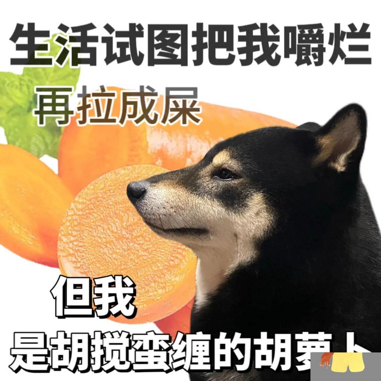 金针菇 表情包图片