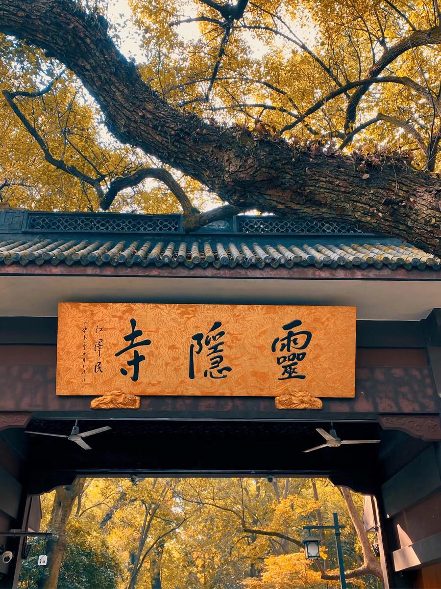 1952年陈毅拜访一文人,甘愿在门口淋雨等候,事后才知陈毅真高明