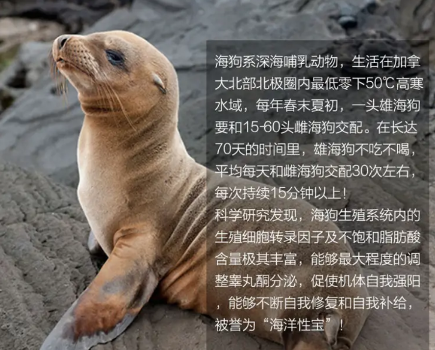 结果它却惊恐地发出了类似海狗的惨叫,仰着头,眼里似乎还噙着泪花.