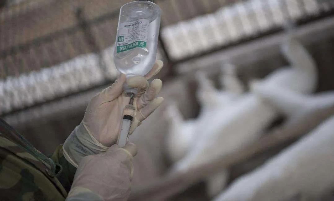 1986年国内首例执行安乐死的医生,现坦言:如能重来,100万也不干