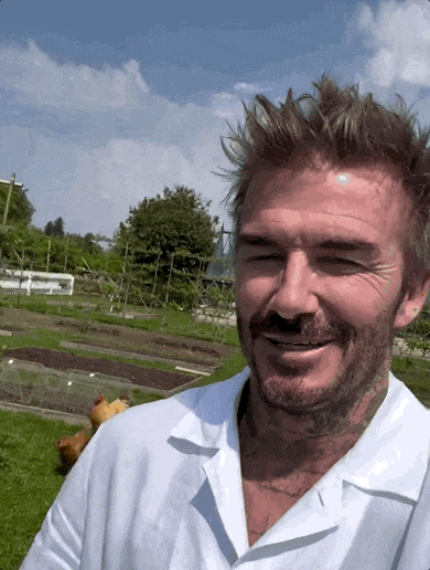 贝克汉姆退休生活曝光!放弃鸡娃,在5400万的庄园里养鸡