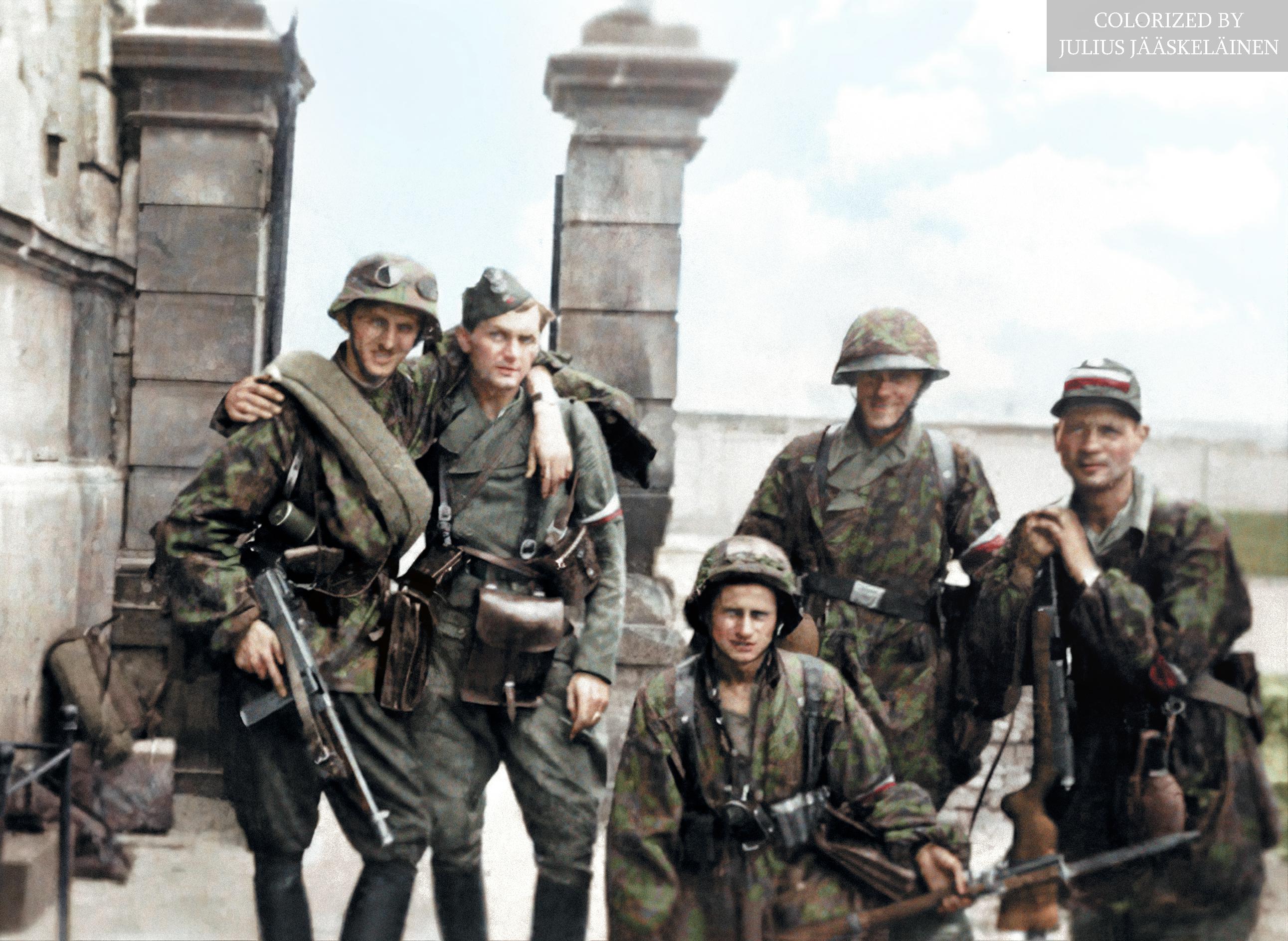 德国国防军与党卫军图片
