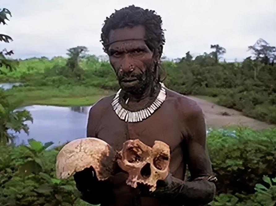 巴布亚人基因图片