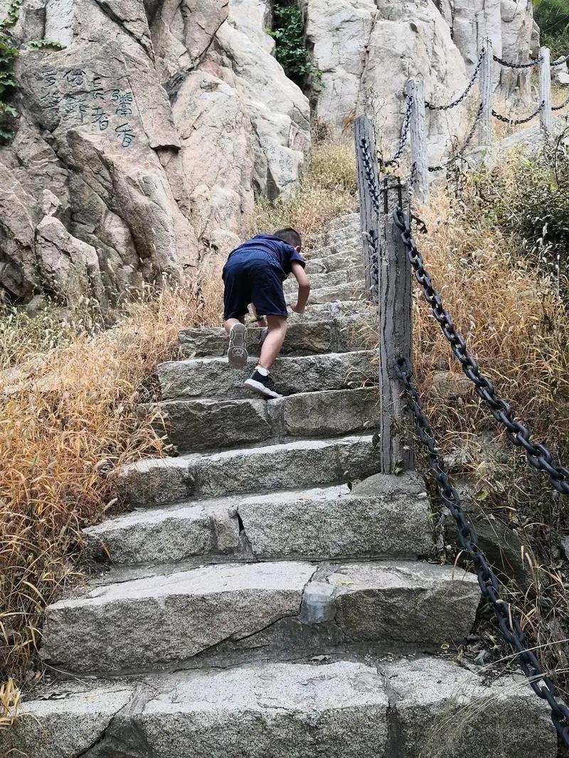 回顾:一男子在河南10年,捡600多块蛟河橄榄石,这石头有什么秘密